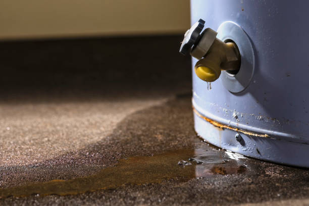 Best Fire Damage Restoration  in Roeland Park, KS