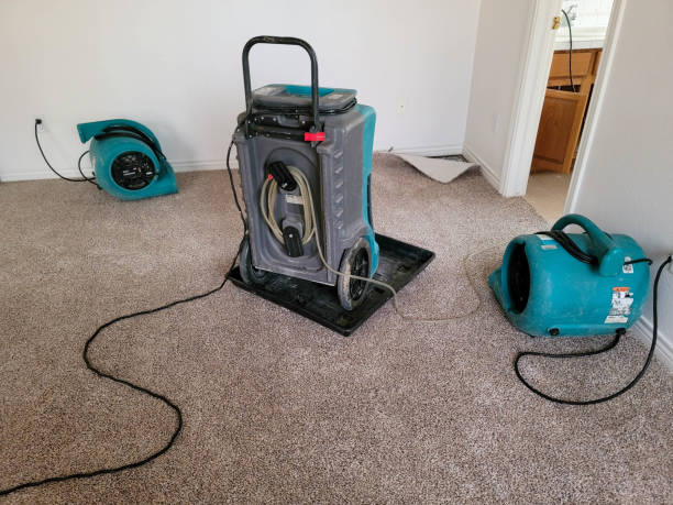 Water damage restoration insurance claims in Roeland Park, KS