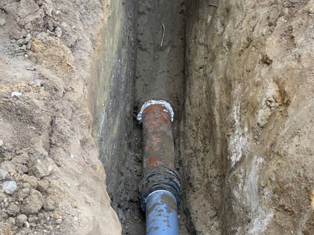Best Flood restoration services  in Roeland Park, KS