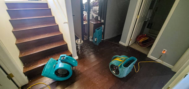 Best Sewage cleanup and water damage restoration  in Roeland Park, KS