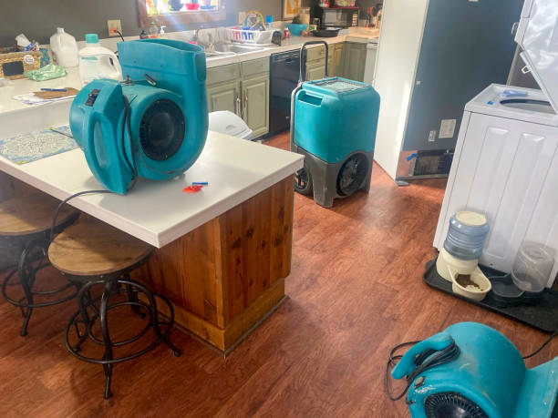Reliable Roeland Park, KS Water damage restoration Solutions