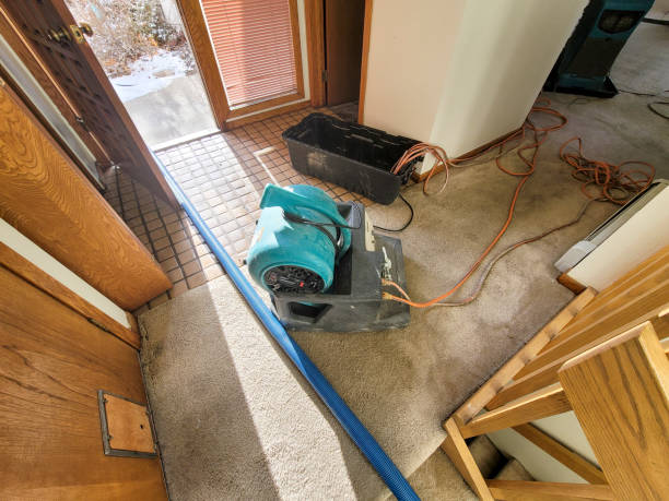 Professional Water damage restoration in Roeland Park, KS