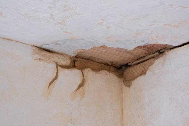 Best Professional water damage repair  in Roeland Park, KS