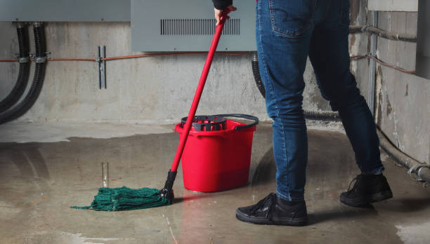 Carpet water damage restoration in Roeland Park, KS