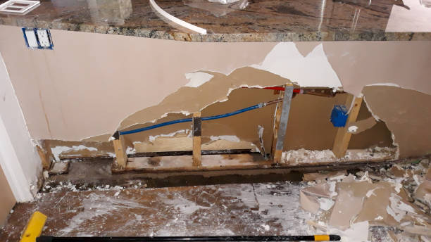 Best Water damage cleanup near me  in Roeland Park, KS