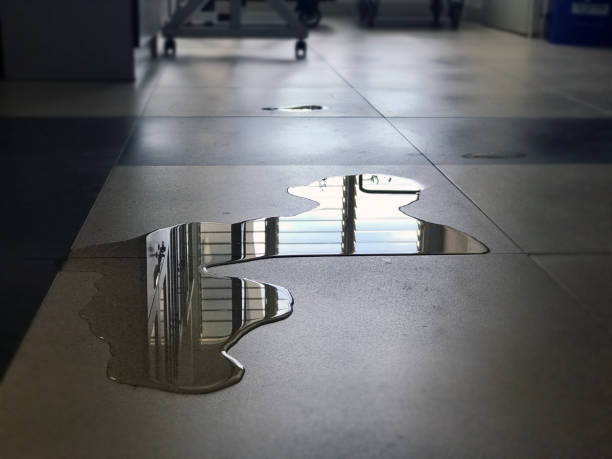 Best Water damage restoration near me  in Roeland Park, KS
