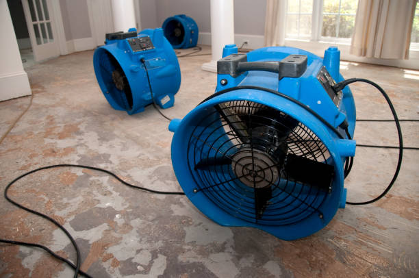 Best Emergency water damage restoration  in Roeland Park, KS