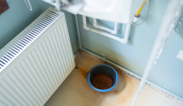 Best Water damage cleanup near me  in Roeland Park, KS