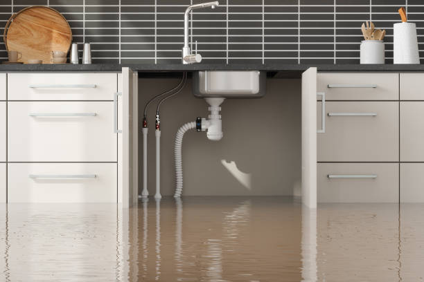 Best Emergency water extraction  in Roeland Park, KS