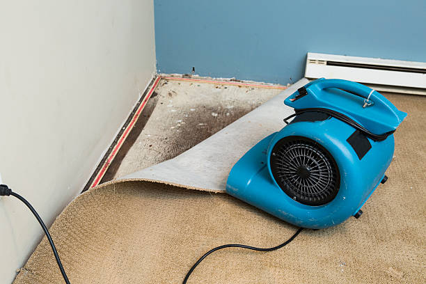 Best Residential water damage restoration  in Roeland Park, KS